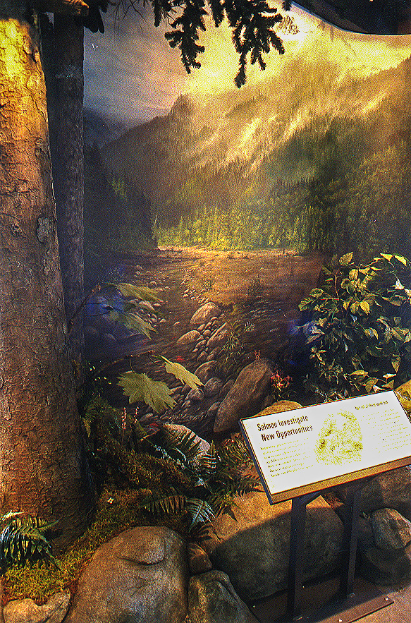 8-MG_forest diorama